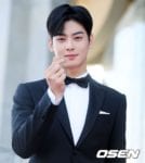 cha eun woo korea drama awards 2018 red carpet (32)