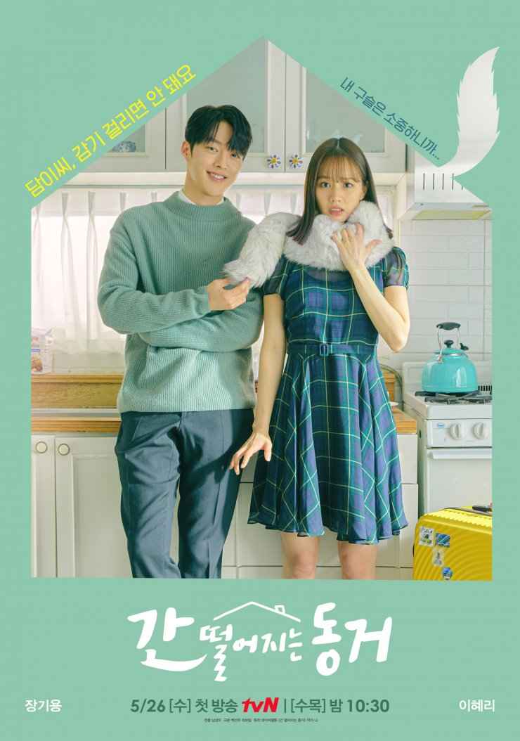 Poster My Roommate is a Gumiho