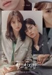 Poster Nevertheless Song Kang Han So Hee JTBC Drama 2021 Netflix Thai Sub (4)