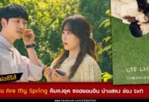 [เรื่องย่อซีรีส์] You Are My Spring คิมดงอุค ซอฮยอนจิน นำแสดง ช่อง tvN