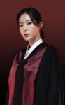 Character Doctor Lawyer (Im Soo Hyang)